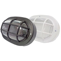 Luminária Tartaruga